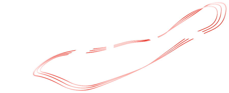 Logo APG (Austrian Power Grid)